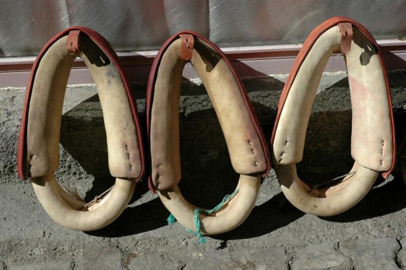 Tokat at saddle maker