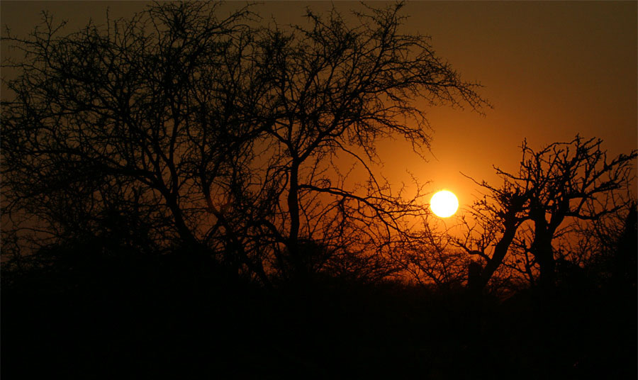 African-sunset.jpg