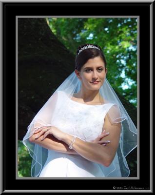 Nicole Bridal Portraits