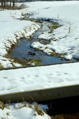 3/2/05 - Snow Bridge