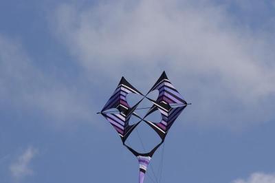 DSC_4329.jpg