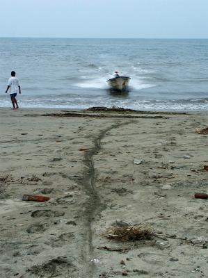 Guide line drawn in sand and palms strewn across for boat to run ashore to sell his daily catch
