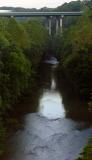 Patapsco River, looking west