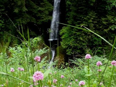 Loowit Falls with Wildflowers