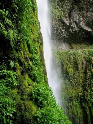 Tunnel Falls from Side