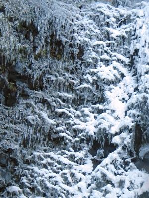 Snow and Icicles