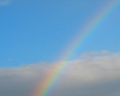 u36/ericnoel/medium/32204405.rainbow.jpg