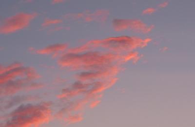 Pink Clouds