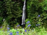 Loowit Falls and Wildflowers