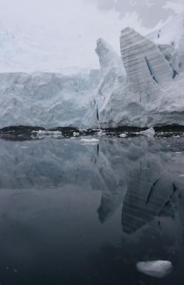 Ice Reflections 8958
