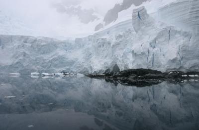 Ice Reflections 8963