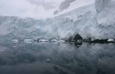 Ice Reflections 8966