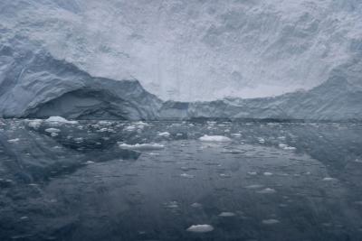 Ice Reflections 8996