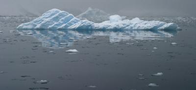 Iceberg Reflection 9072