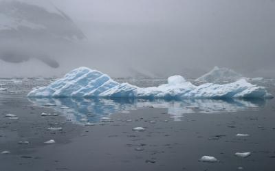 Iceberg Reflection 9074