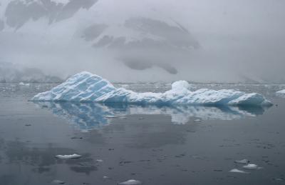 Iceberg Reflection 9076