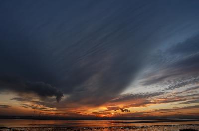 From The Shore.