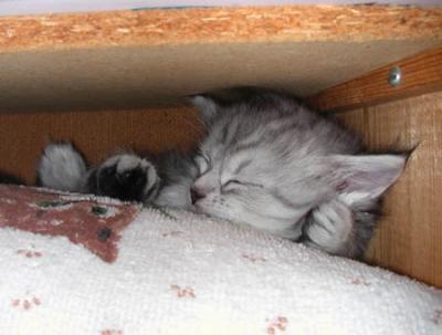 Favourite place - as tight as it gets :-)