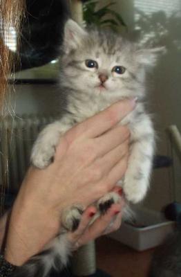 Photos taken by catphotographer Ingrid...