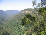 Blue Mountains