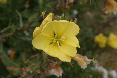 IMG_0012.jpg