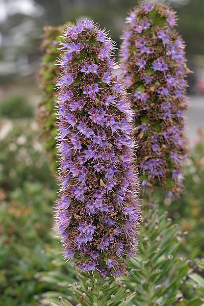 IMG_0003.jpg