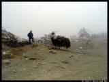 Foggy mountain top at 4800 meters high