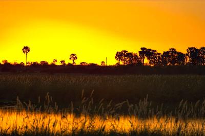 linyanti wildlife reserve