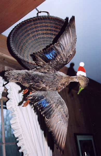 Merry Christmas from the Duck : )