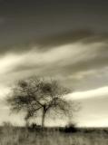 DSCF1626e.jpg