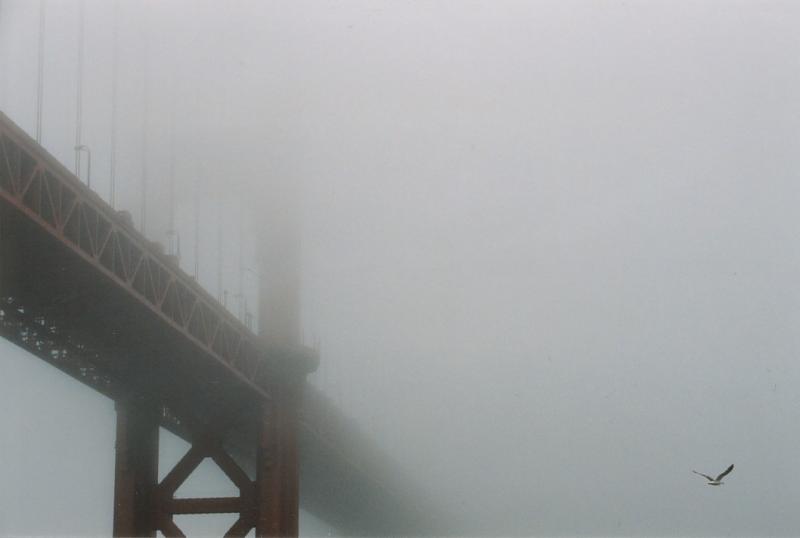 golden gate in fog, 2003