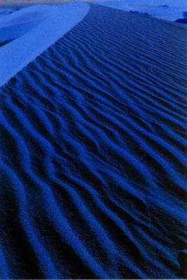 mesquite dunes, death valley, 2003