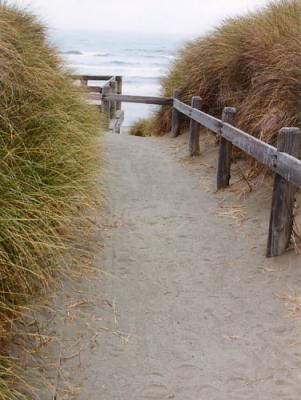 moorspathocean bodega dunes,2002