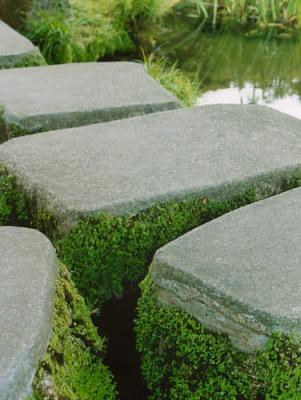 tea garden paths, 2003