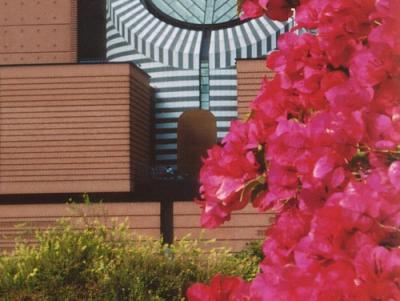 m.o.m.a. from yerba buena, 2003