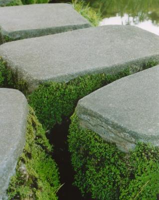 tea garden path, 2003