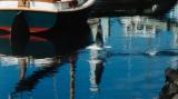 bird leaving morro marina, 2004