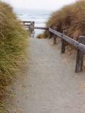 moorspathocean bodega dunes,2002