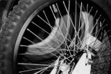 bike tires, norcal, 2004