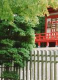 tea garden pagoda, 2003