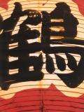 japanese lantern, 2003