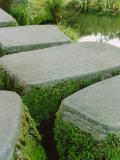 tea garden paths, 2003