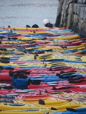 kayaks2.jpg