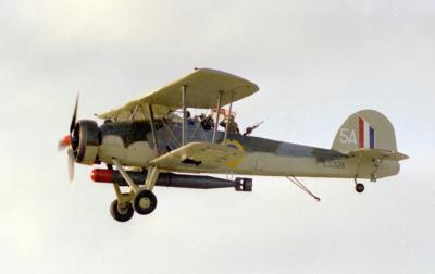 u36/fleeting_images/medium/24482900.Swordfish.jpg