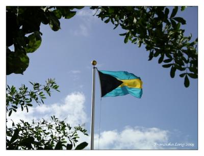 National Flag of the Bahamas