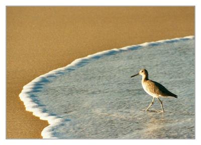 Outer Banks