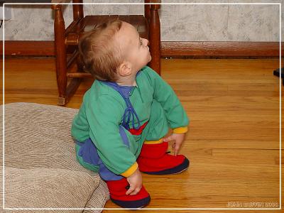 Watching Elmo