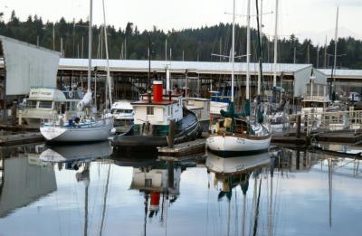 Kingston Marina Closeup