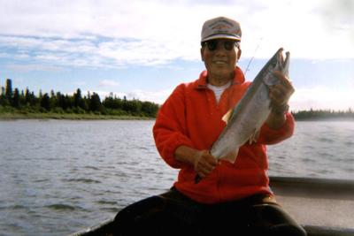 Alaska silver salmon