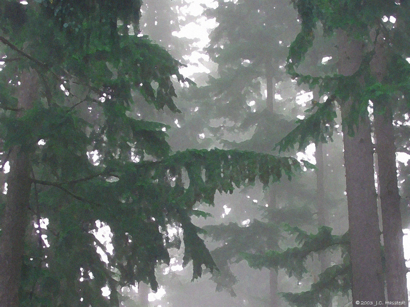 Backyard Fog in Drybrush